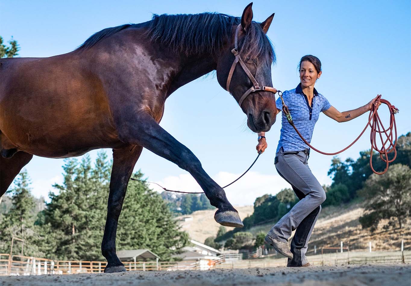 The Social Side of Niche Sports: Equestrian Yoga & Underwater Ballet Gear Guide
